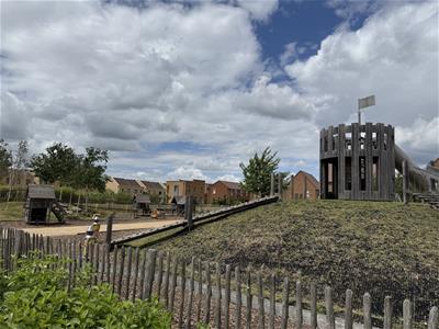 Picture 12